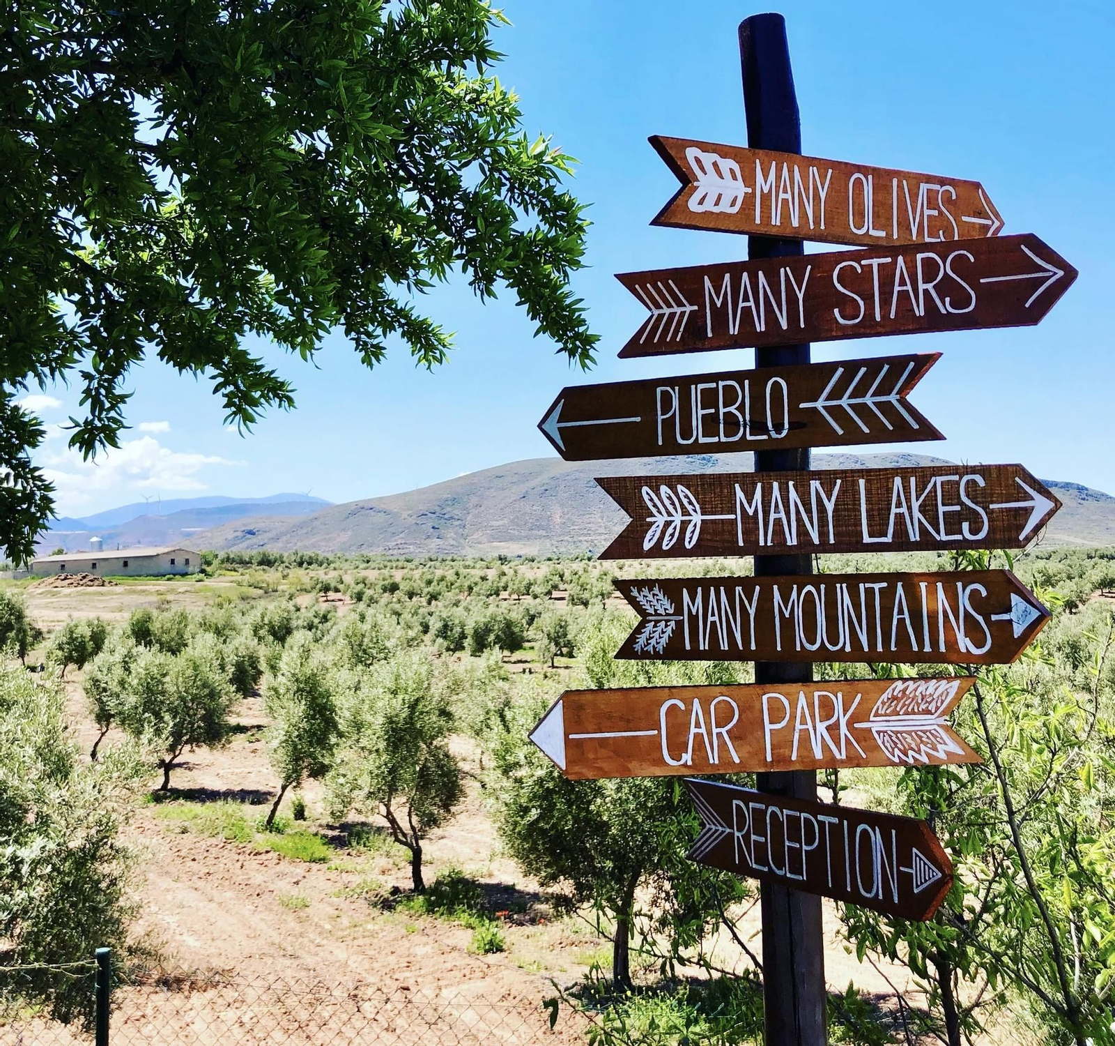 Conoce el camping en el que te puedes hospedar en casas tipis