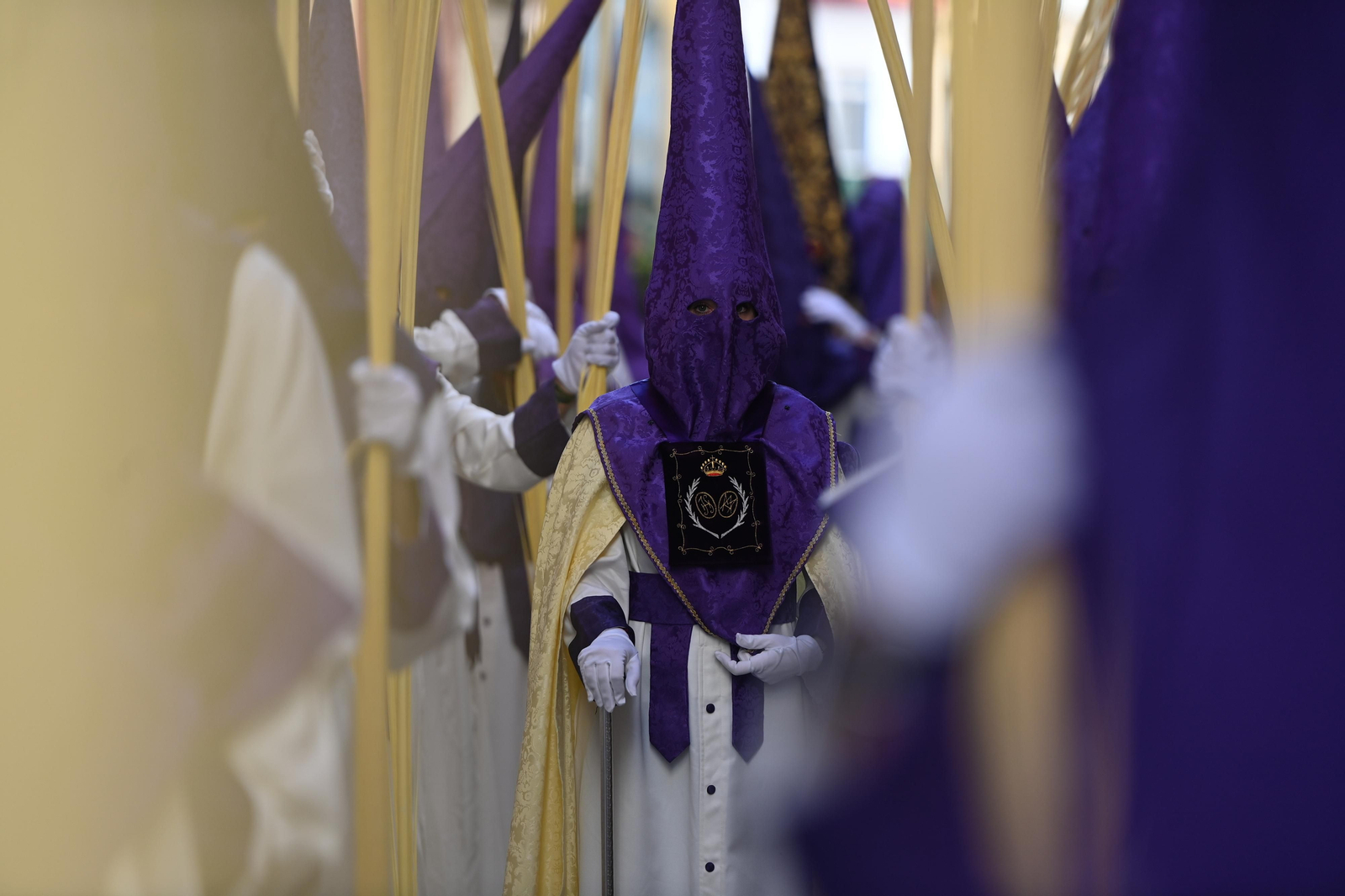 Las fotos de Pollinica en su procesión del Domingo de Ramos en Málaga
