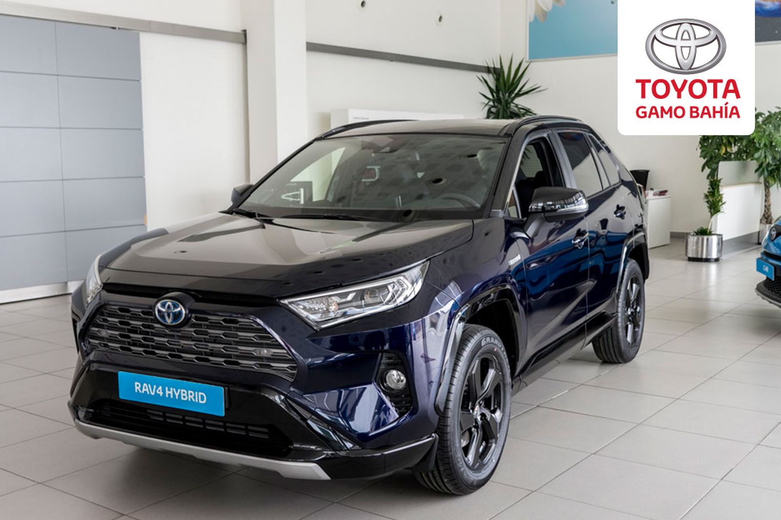 El nuevo Toyota RAV4 100% Hybrid.