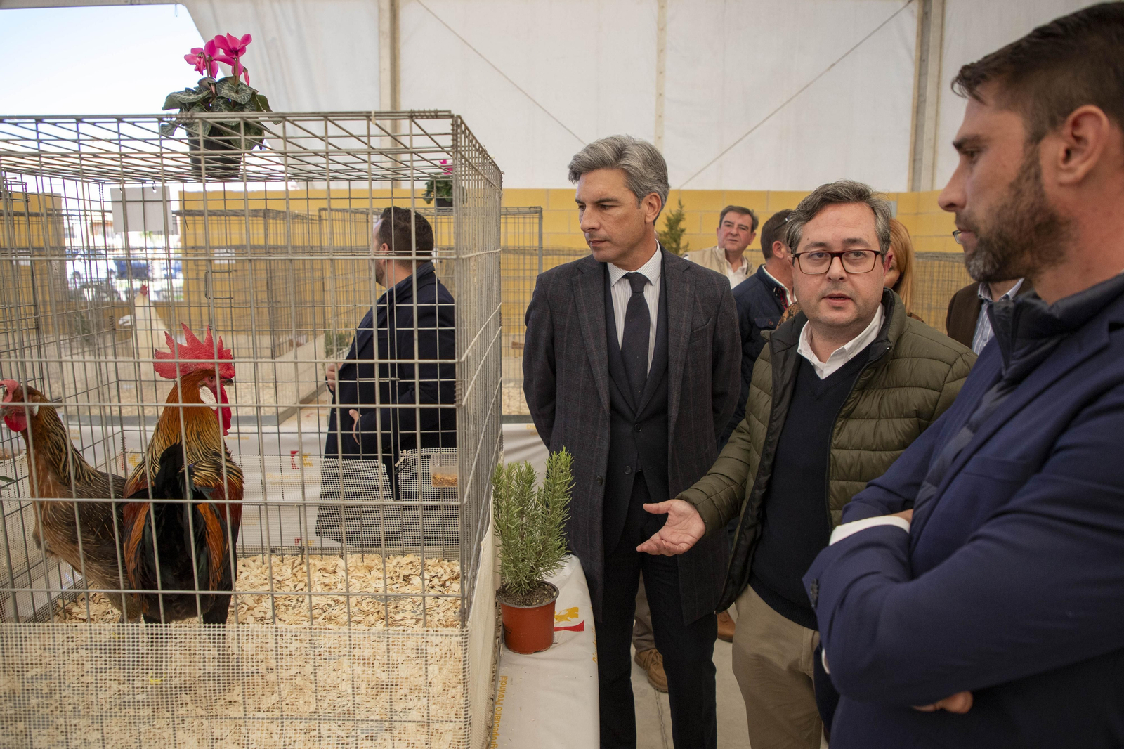 Un paseo en fotografías por Avicor, la Feria Avícola de Córdoba