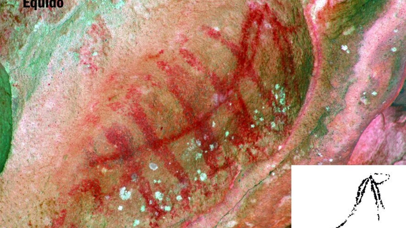 Ciervo de la cueva de la Jara I.