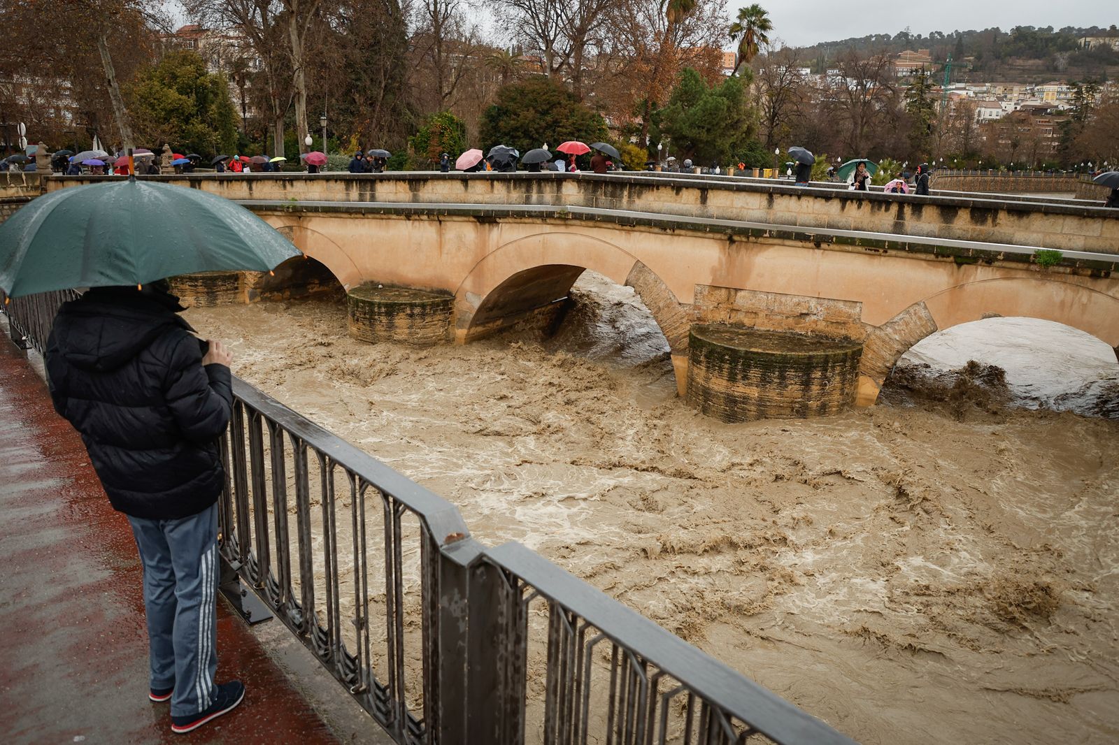 Imagen del río Genil a su paso por Granada capital