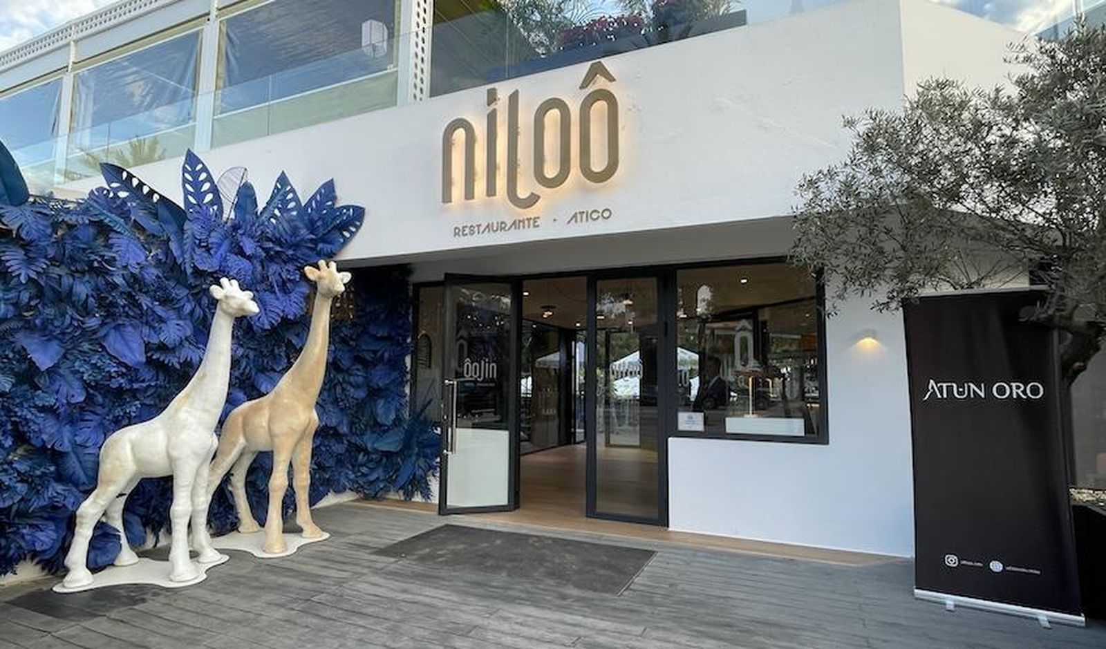 Entrada de Niloo.
