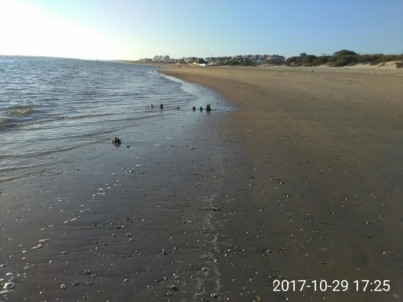 La imagen tomada el pasado 29 de octubre muestra más fragmentos de la embarcación hundida.