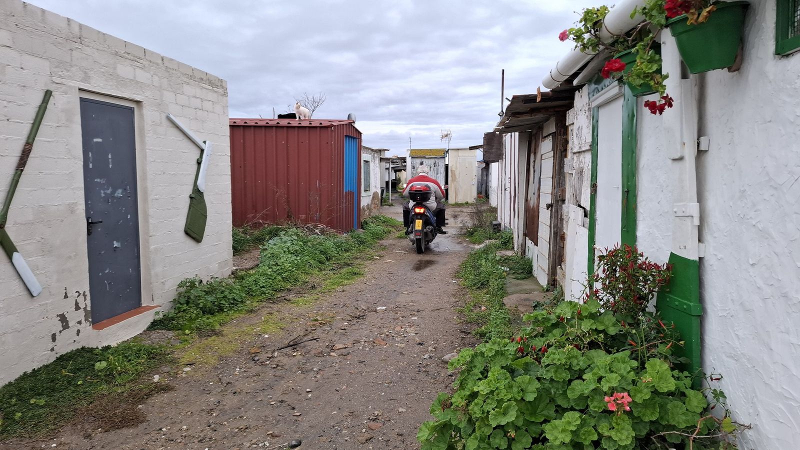 Isla del Trocadero de Puerto Real (22)