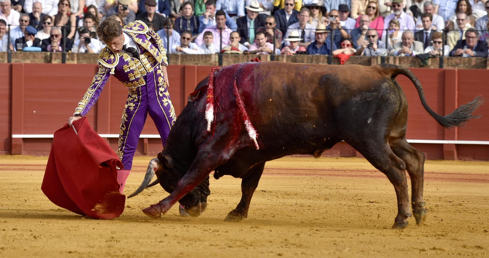 Las imágenes de la 14ª de abono de la Maestranza