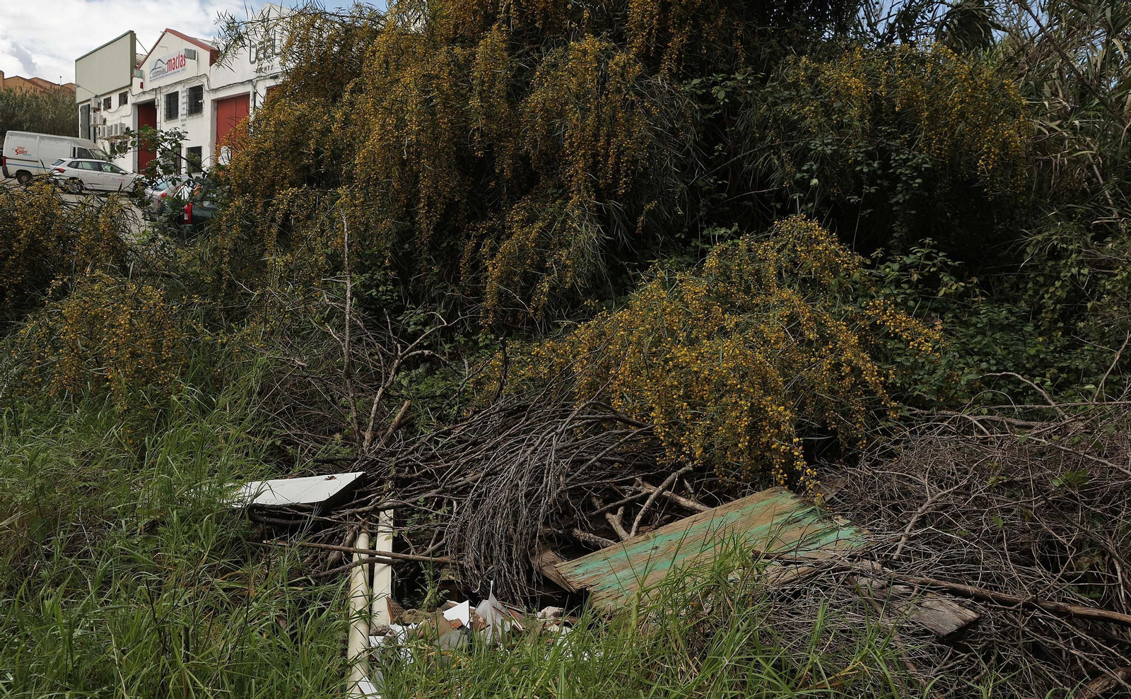Fotos de los desperfectos e irregularidades en La Menacha