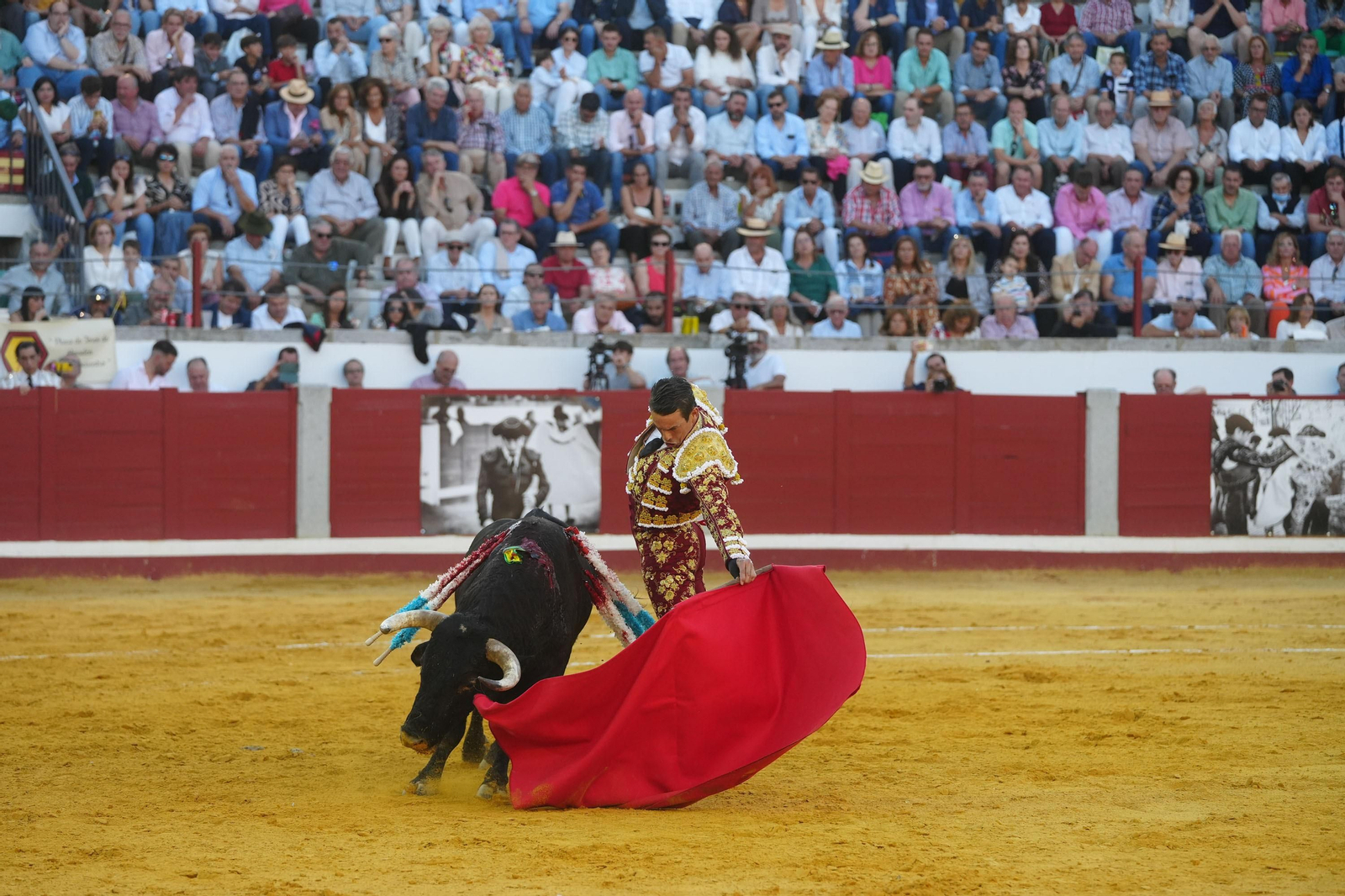 El triunfo de Rocío Romero, Manzanares y Roca Rey en la plaza de toros Pozoblanco, en imágenes