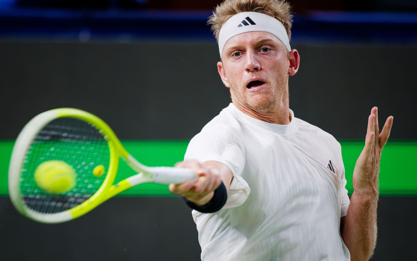 Alejandro Davidovich-Daniil Medvedev, en fotos