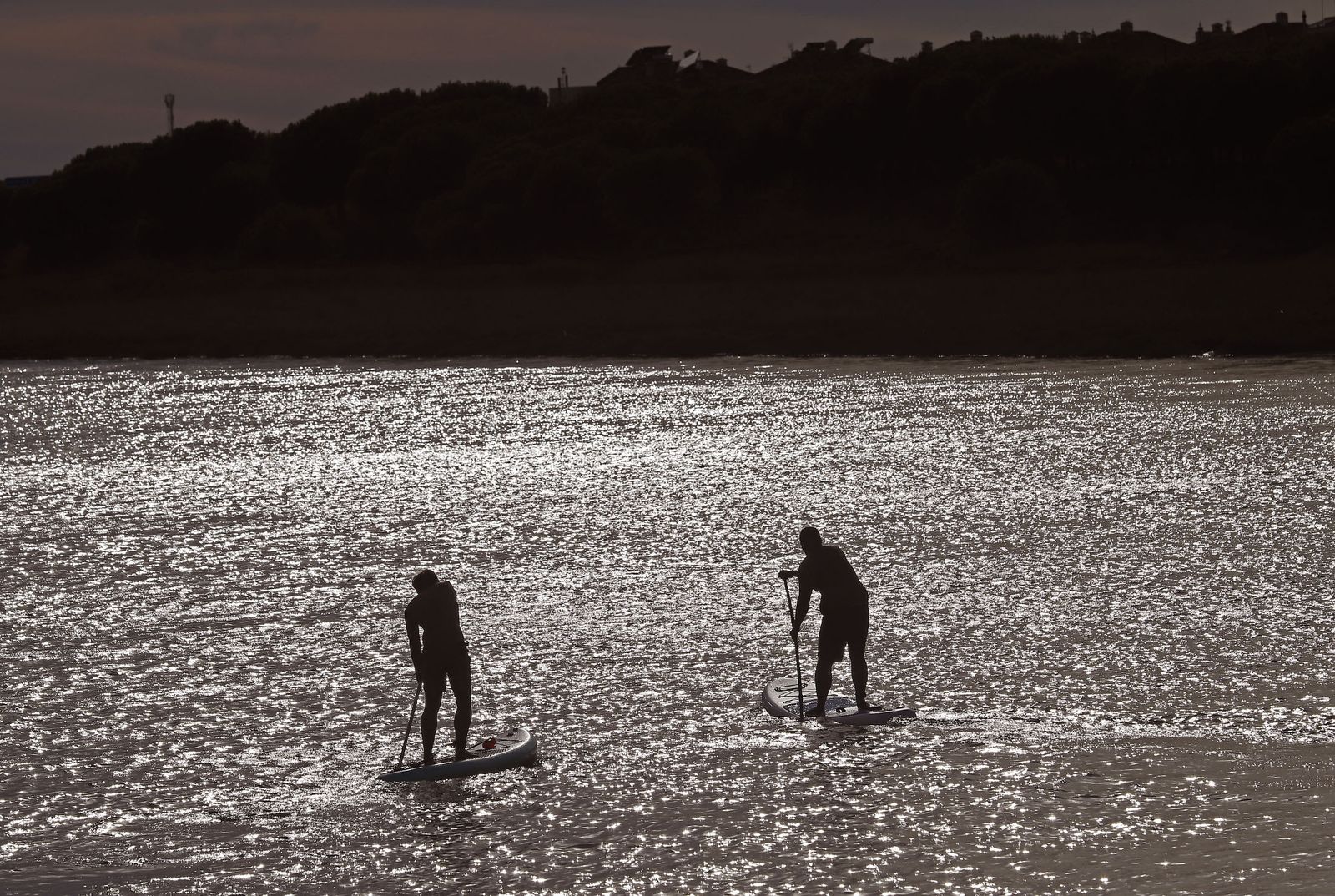 Paraje natural Marismas del Odiel, paraíso de Huelva entre salinas