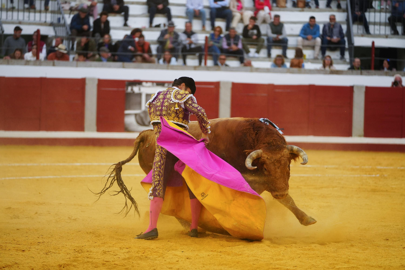 Las mejores imágenes de Manuel Morán, El Fandi y Daniel Luque en Pozoblanco