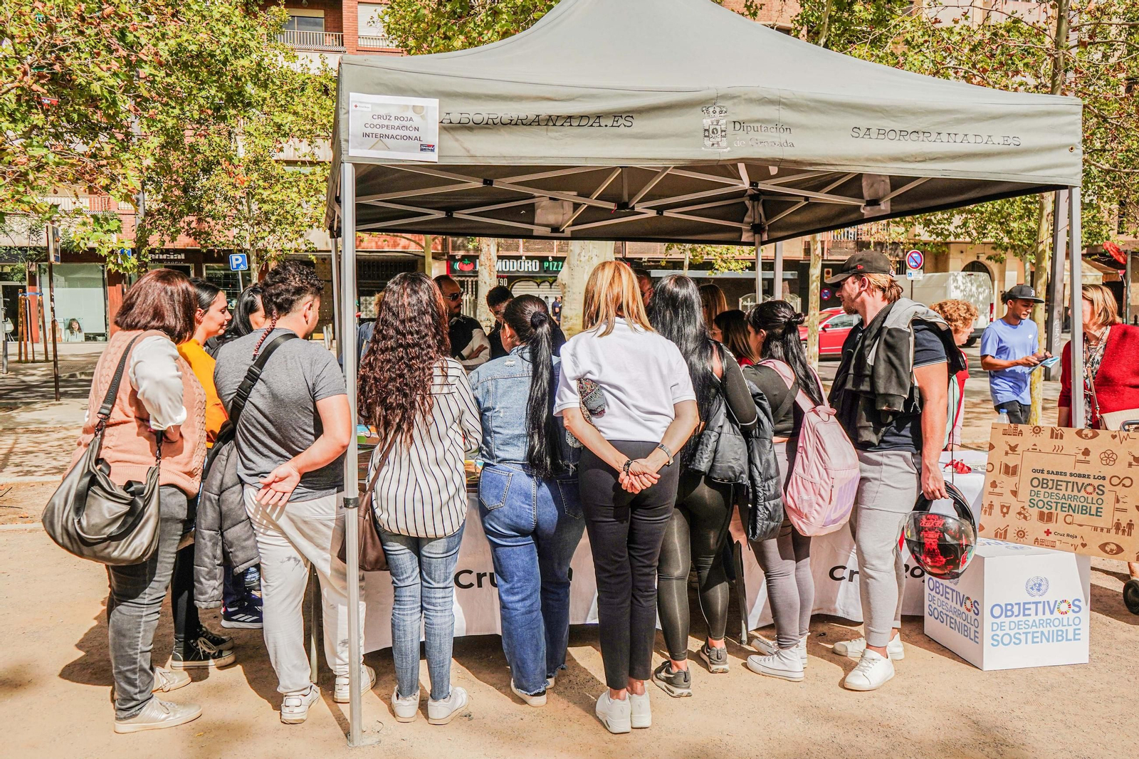 Así ha vivido Granada el Día de la Banderita de Cruz Roja: todas las imágenes