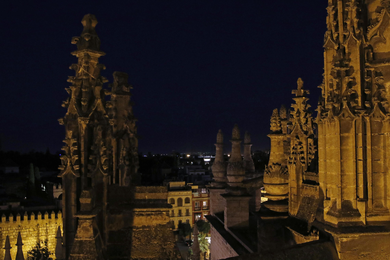 Visita nocturna a la Catedral