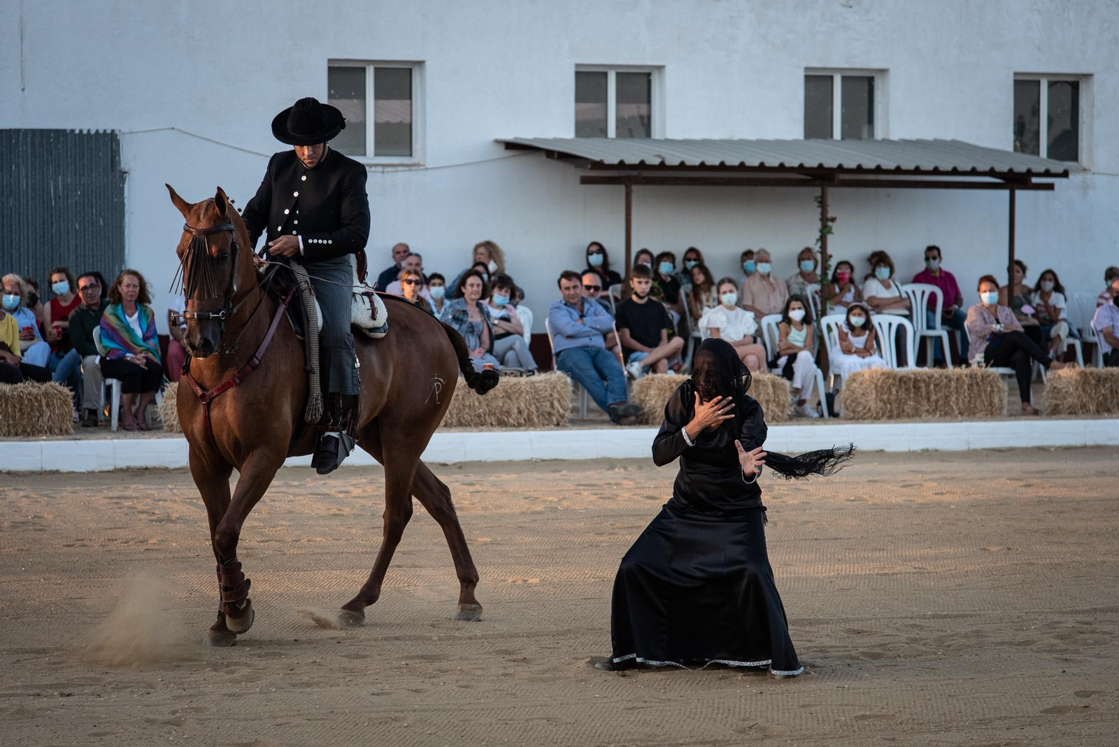 El espectáculo Flamencab en imágenes