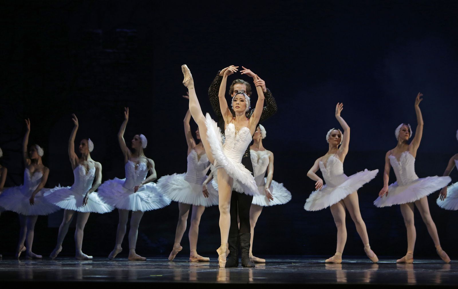 EL LAGO DE LOS CISNES