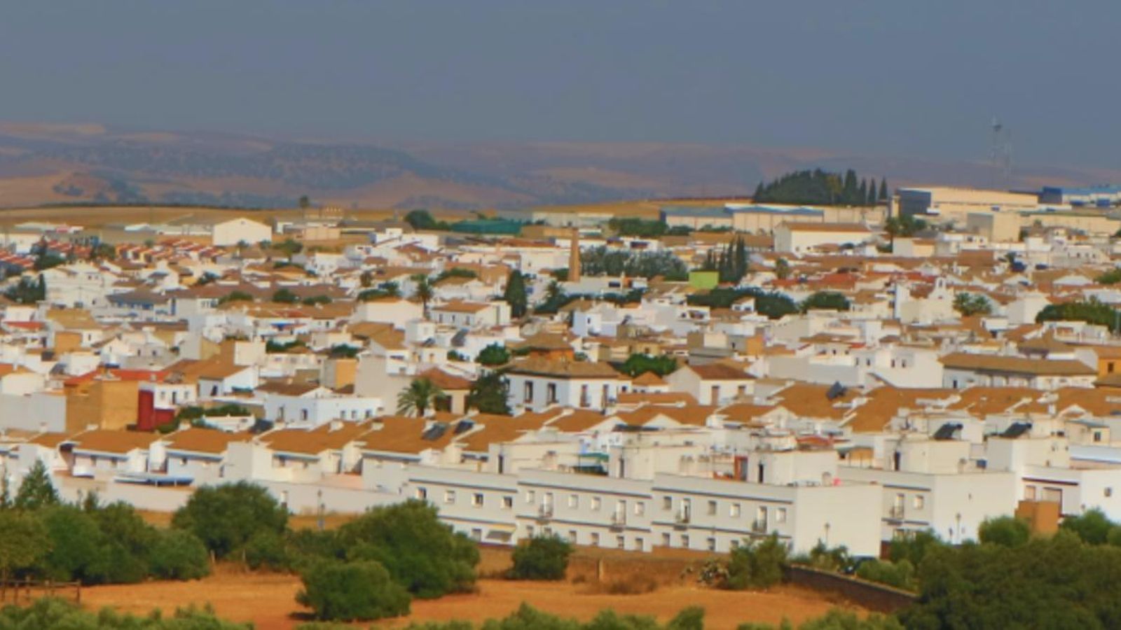 Captura de pantalla 2024-04-02 a las 13.44.57