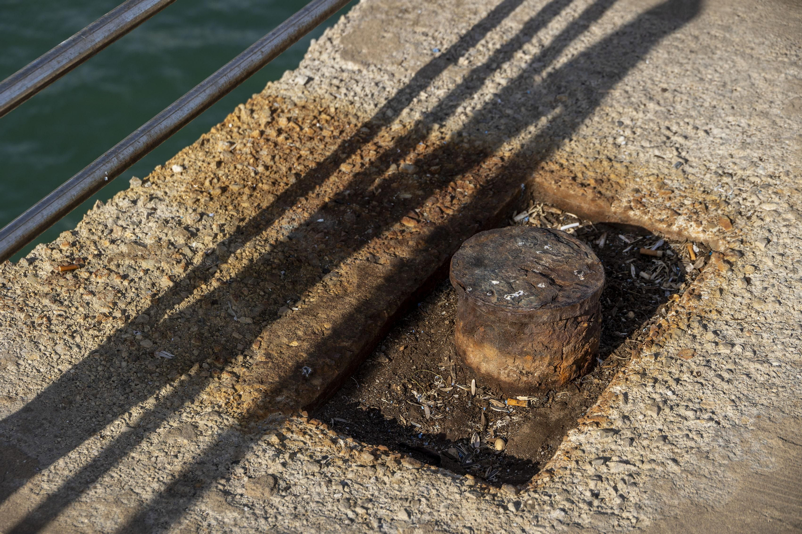 Las imágenes del mal estado de los paseos de Cádiz