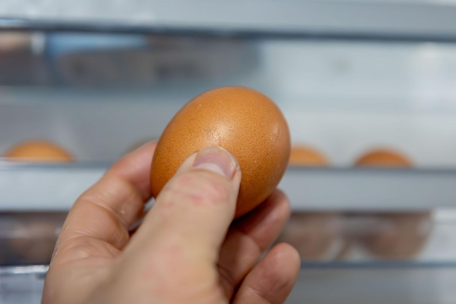 Una persona sostiene un huevo