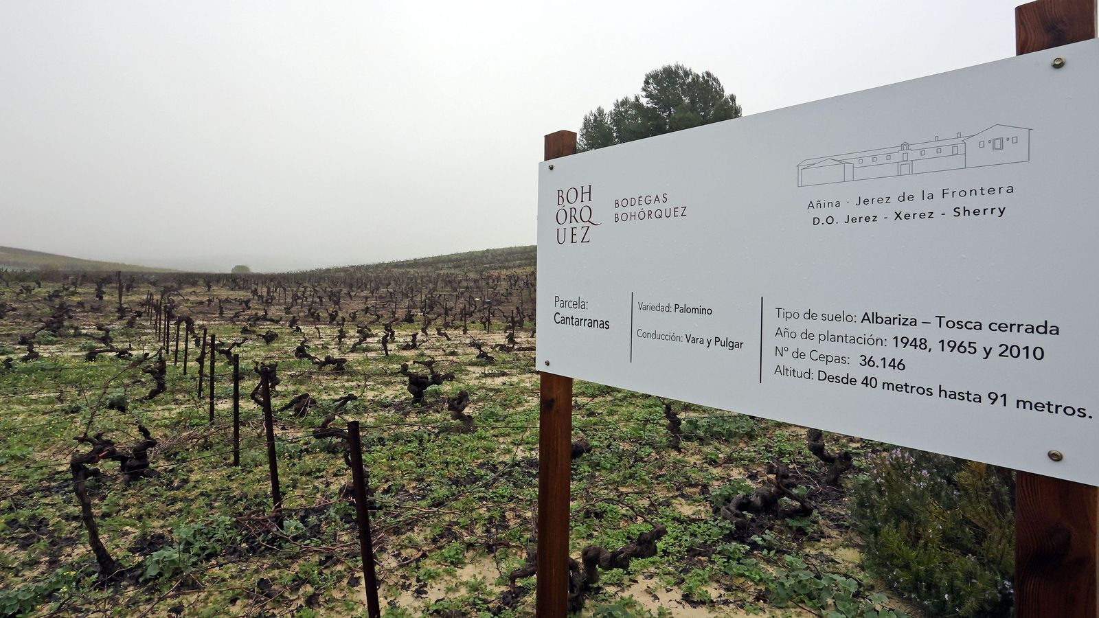 Cartel a la entrada de la viña con la información del suelo y la plantación.