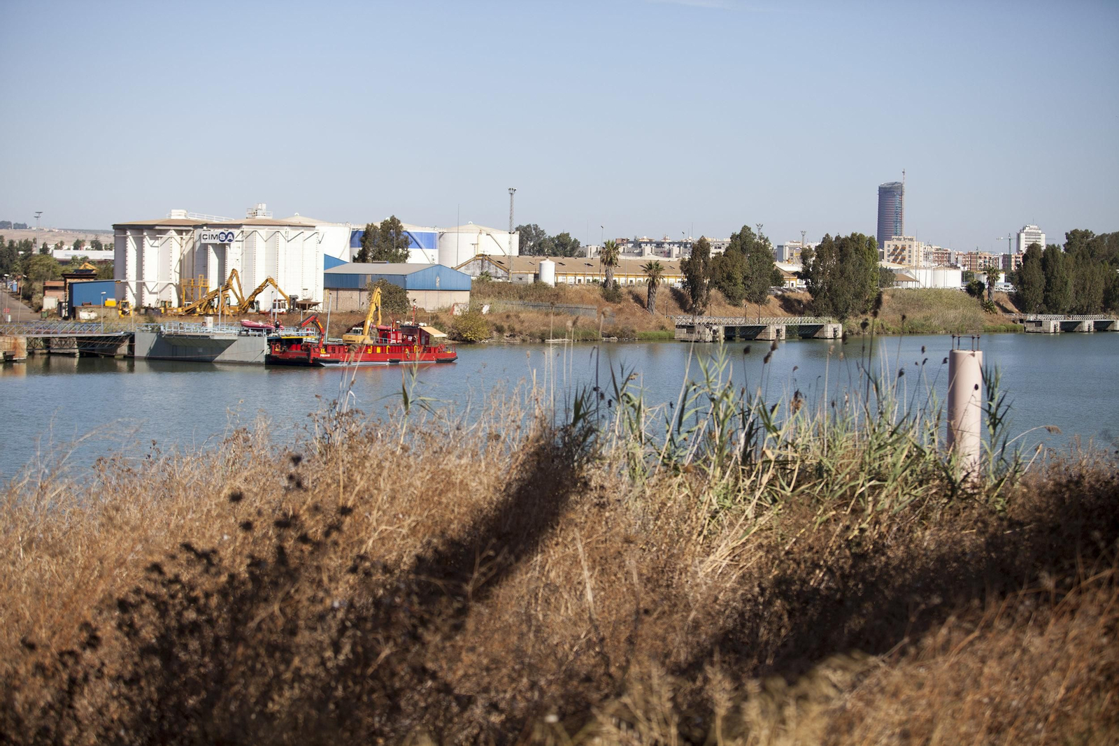 Los suelos portuarios donde se prevé la construcción del proyecto Sevilla Park