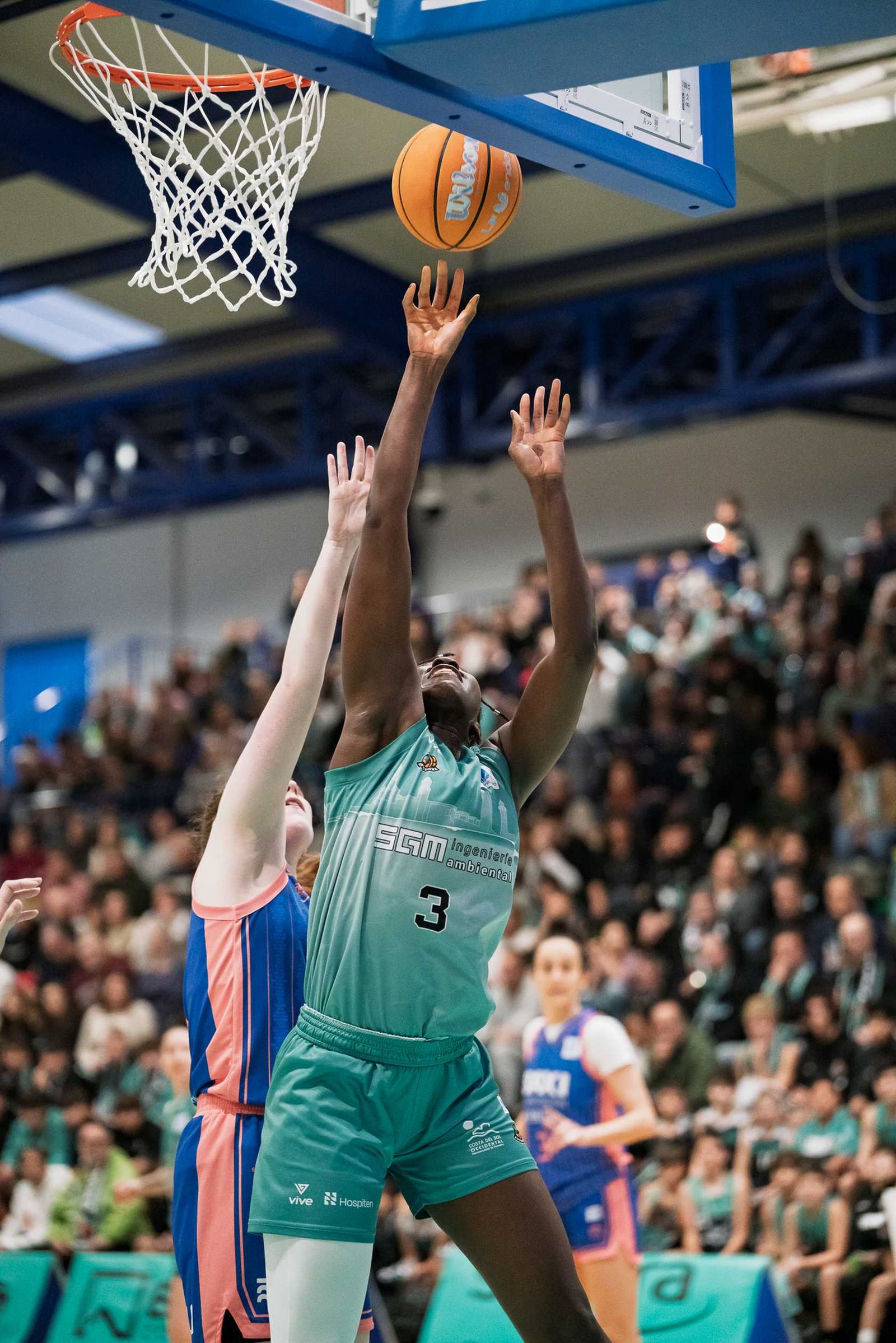 CAB Estepona-Baxi Ferrol: Partido redondo para hacer vibrar al Pineda