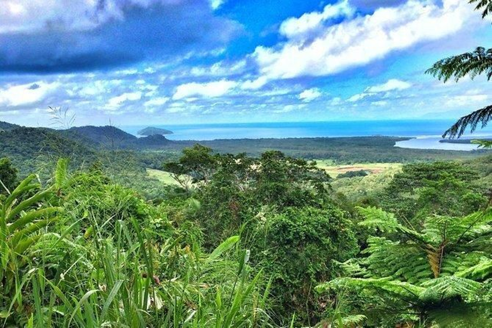 El Parque Nacional de Daintree