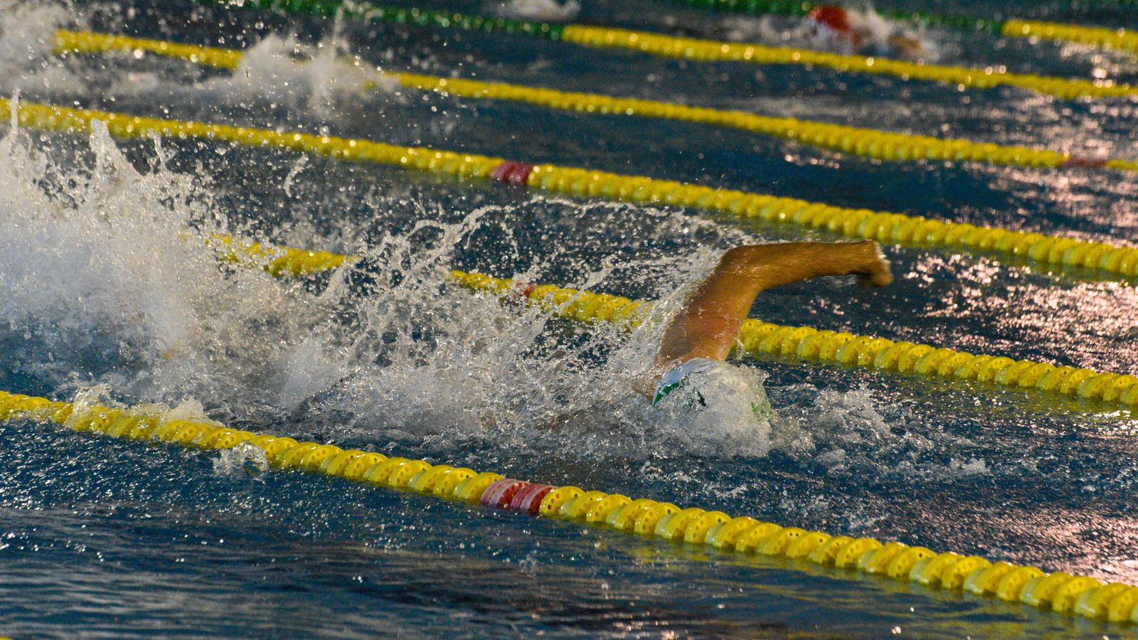 Fotos del Torneo de natación Campo de Gibraltar, en Los Barrios