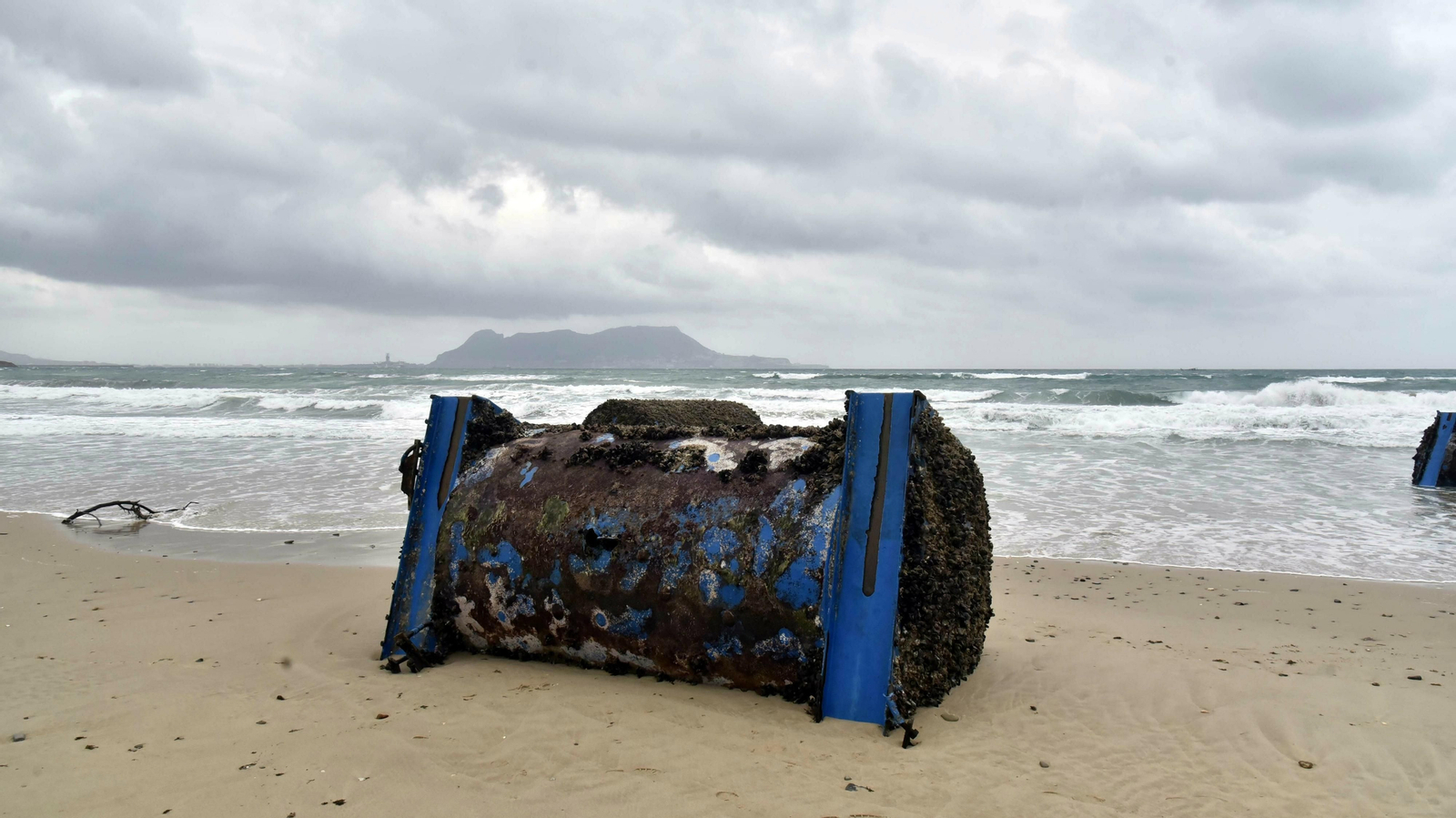 Mejilloneras varadas en la playa de Getares