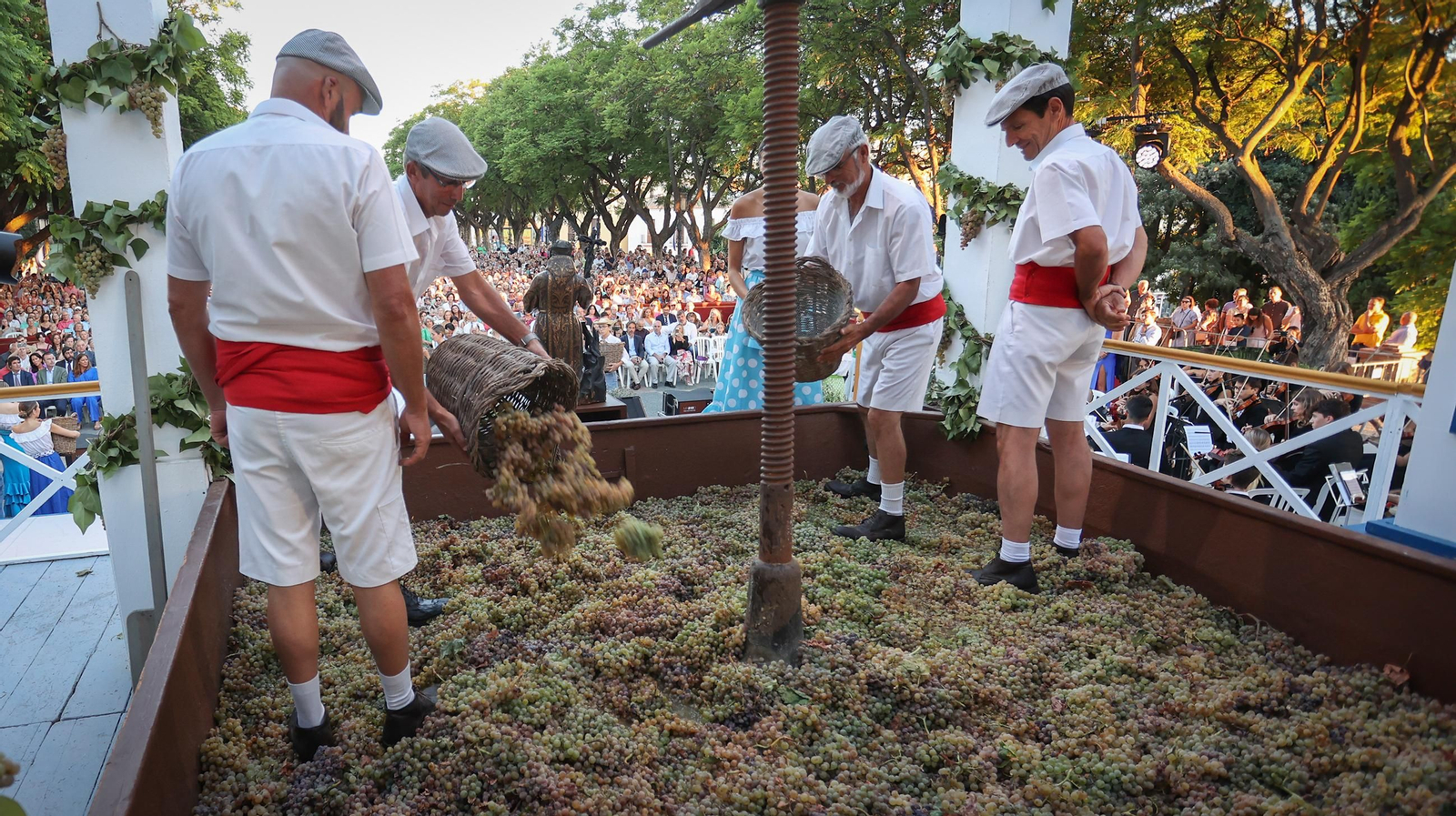 Imágenes de la tradicional pisa de la uva en Jerez