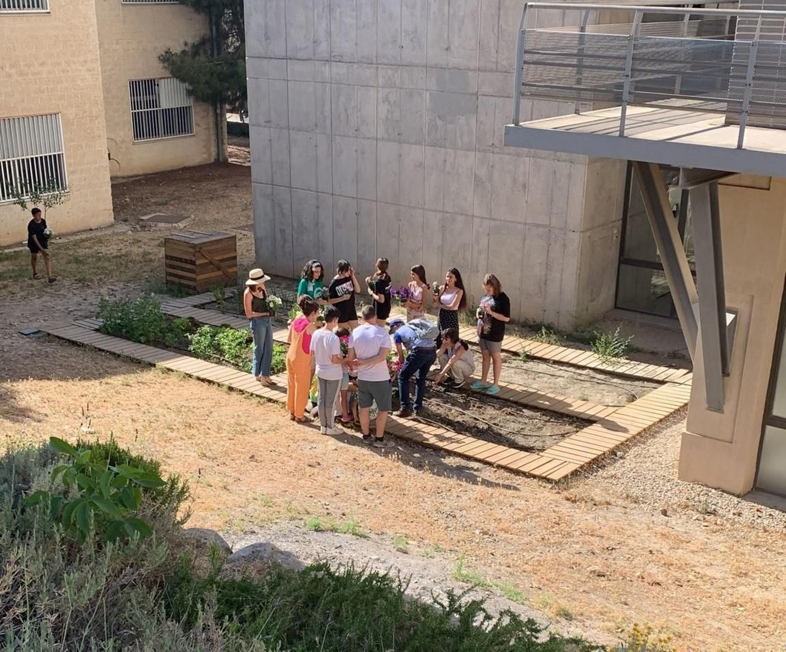 Estudiantes plantando en el huerto universitario Estudiantes plantando en el huerto universitario