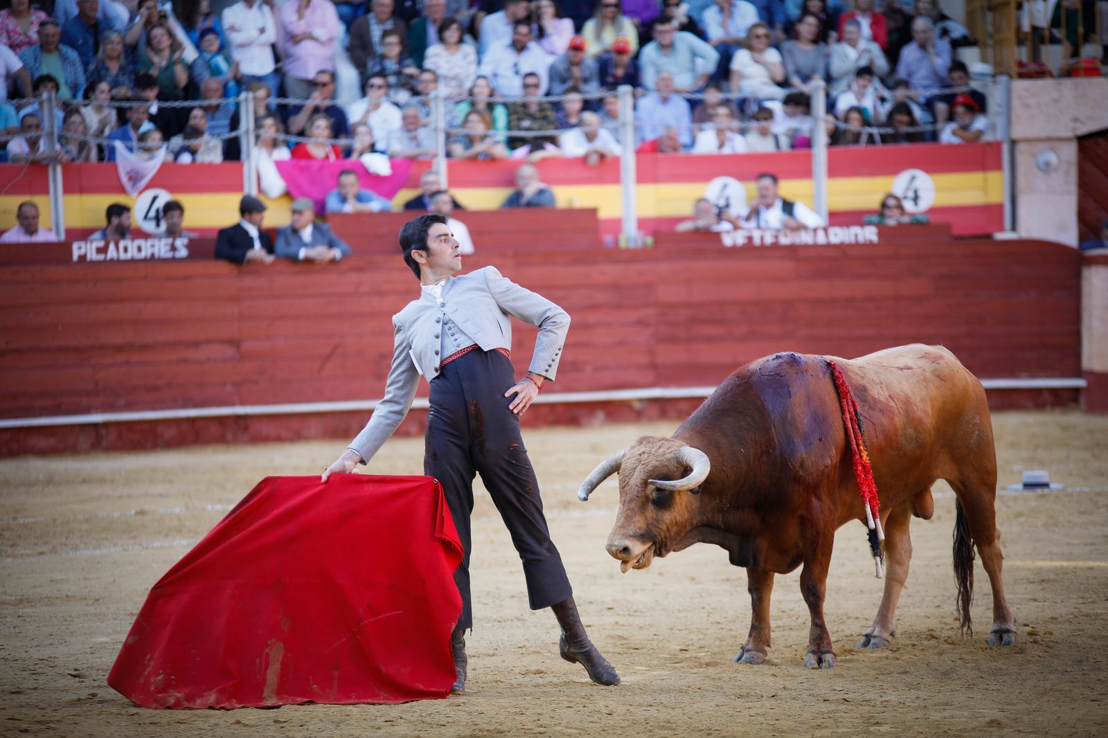 Imágenes del festival mixto lucha contra el cáncer