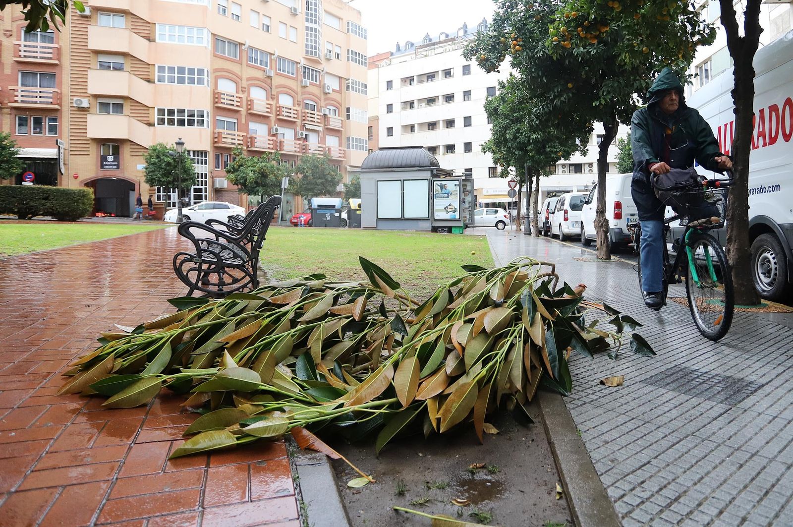 Imágenes del lunes 5 de diciembre en Huelva