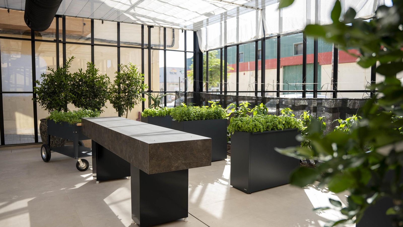 La Costa cuenta con un invernadero propio donde produce productos de primera calidad.