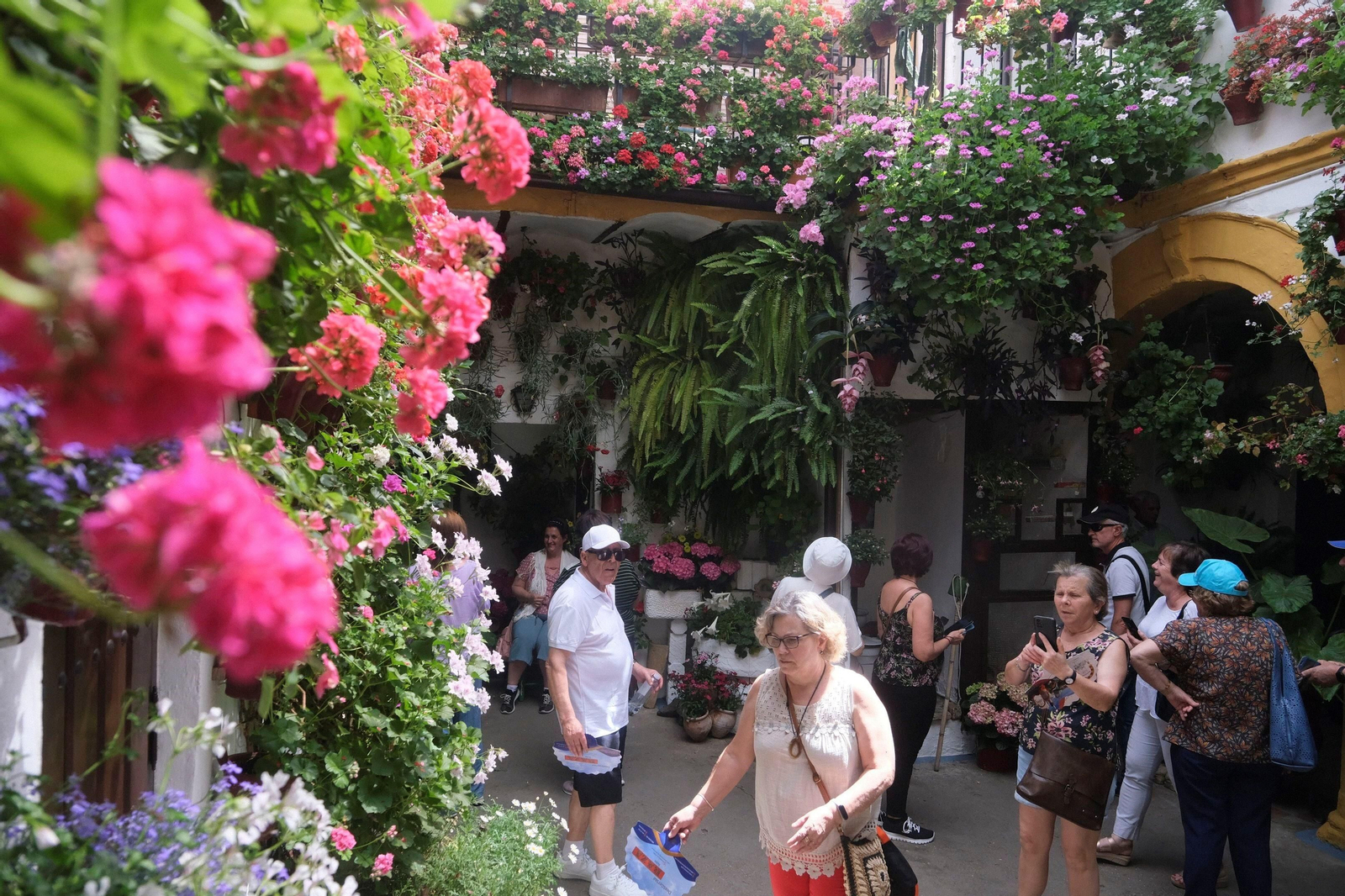 Los Patios de Córdoba se llenan de turistas en su primer fin de semana, en imágenes