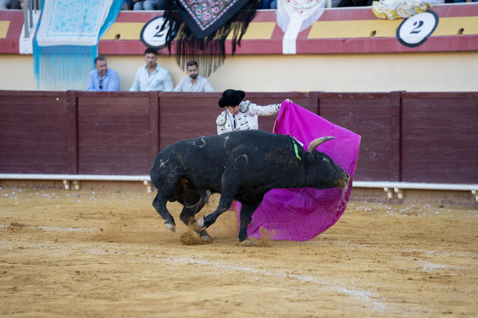 Las imágenes de los toros en Vera