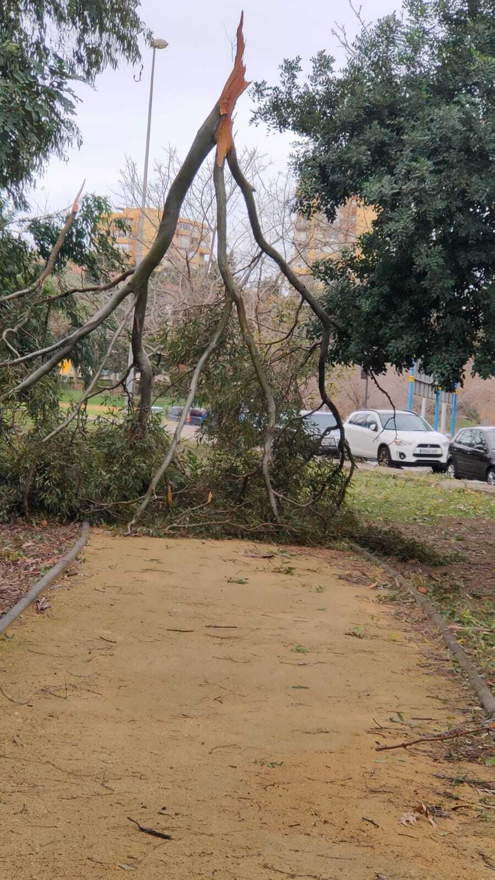 Las fotos de los lectores de Europa Sur del temporal Karlotta