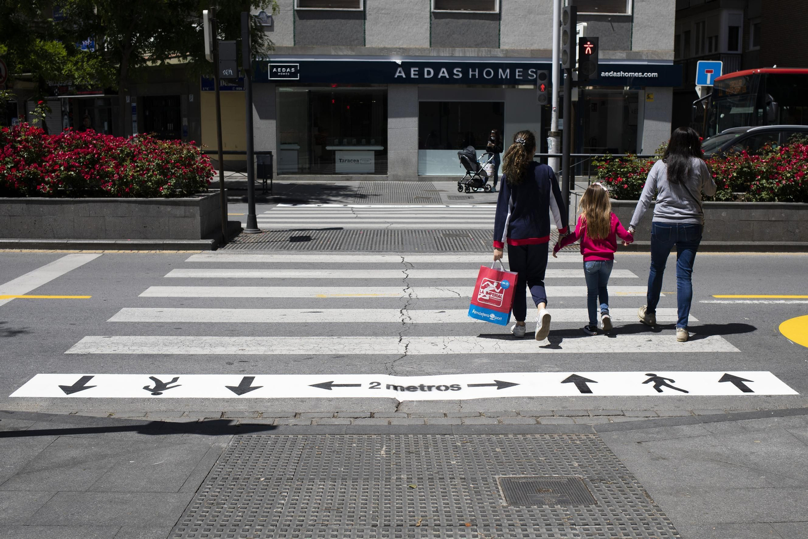 Carriles reservados para bicis y vías peatonales direccionales, la apuesta por la nueva movilidad en Granada