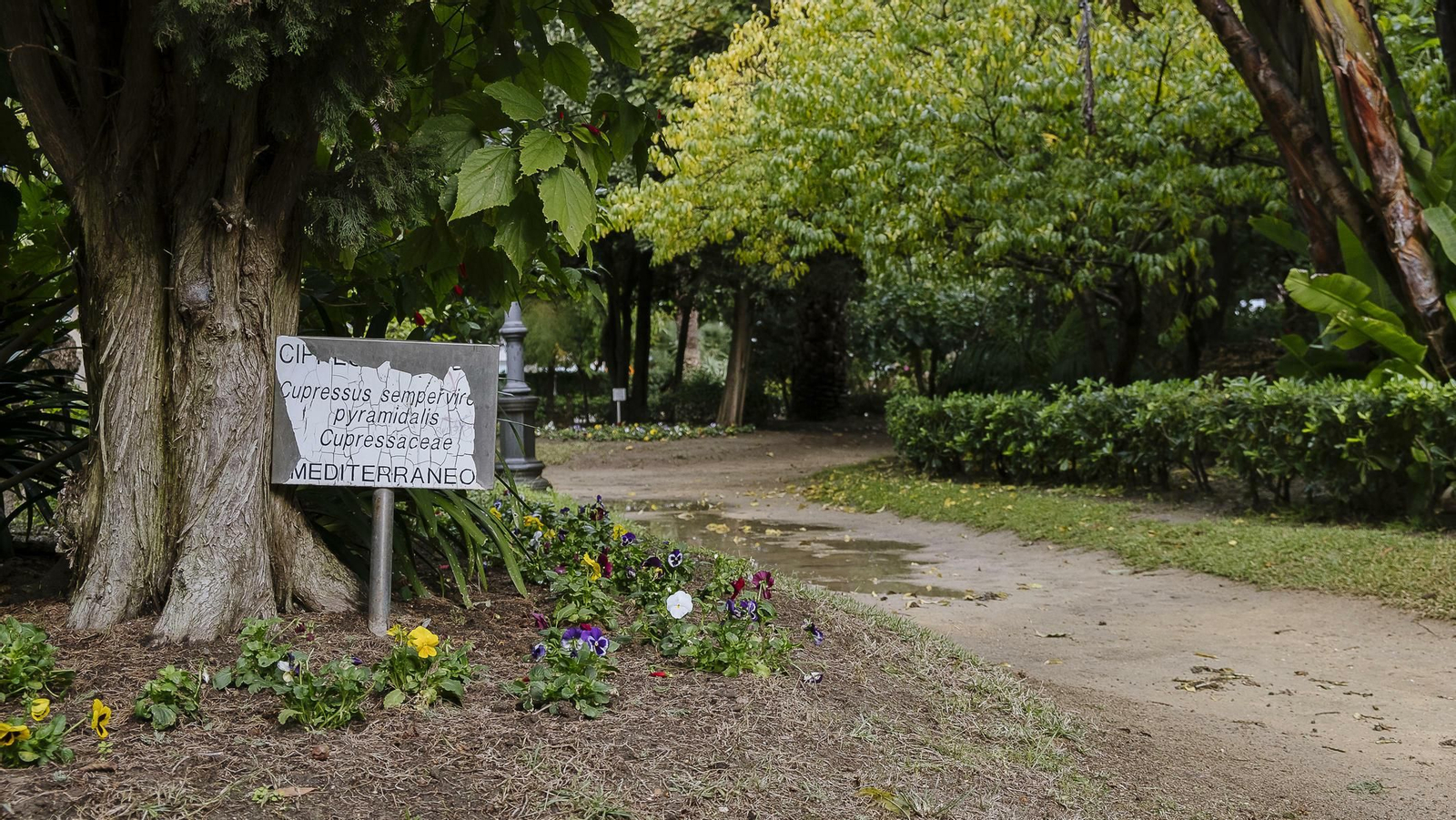 El estado de la Alameda y el Parque Genovés