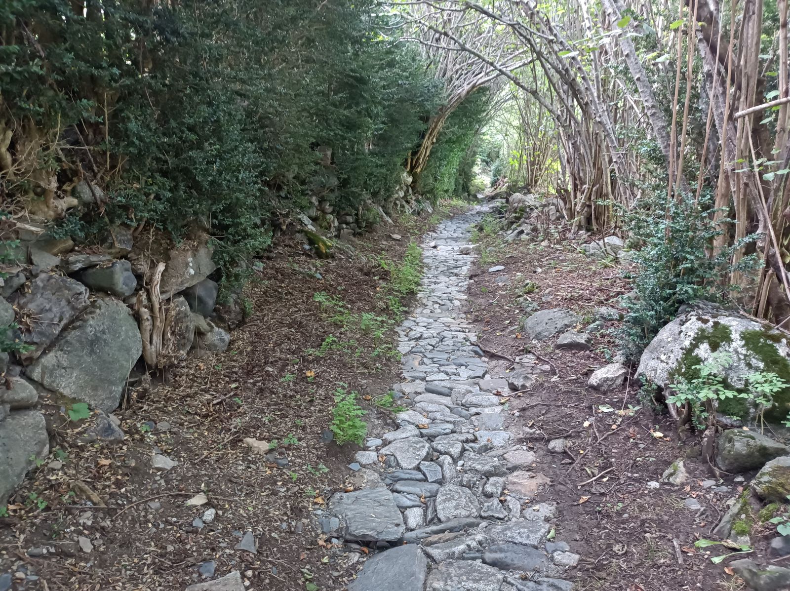 Salimos de Senet por un camino empedrado.