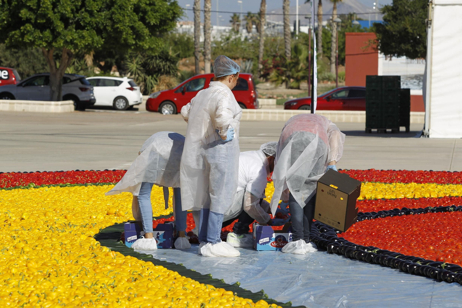 Fotogalería Récord Guinness Corazón Hortalizas Almería