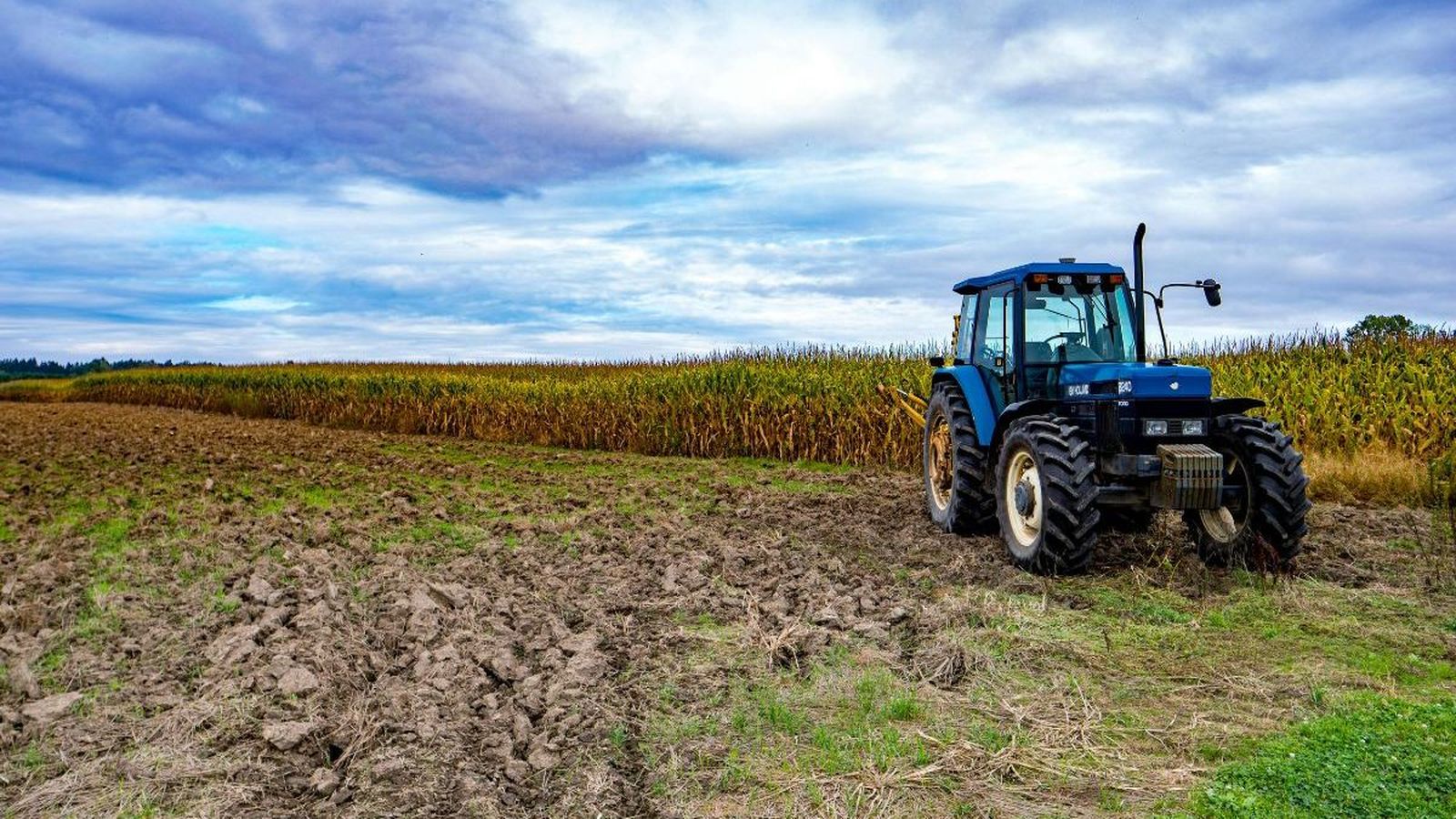 Cinco errores al comprar recambios de agromaquinaria y cómo evitarlos