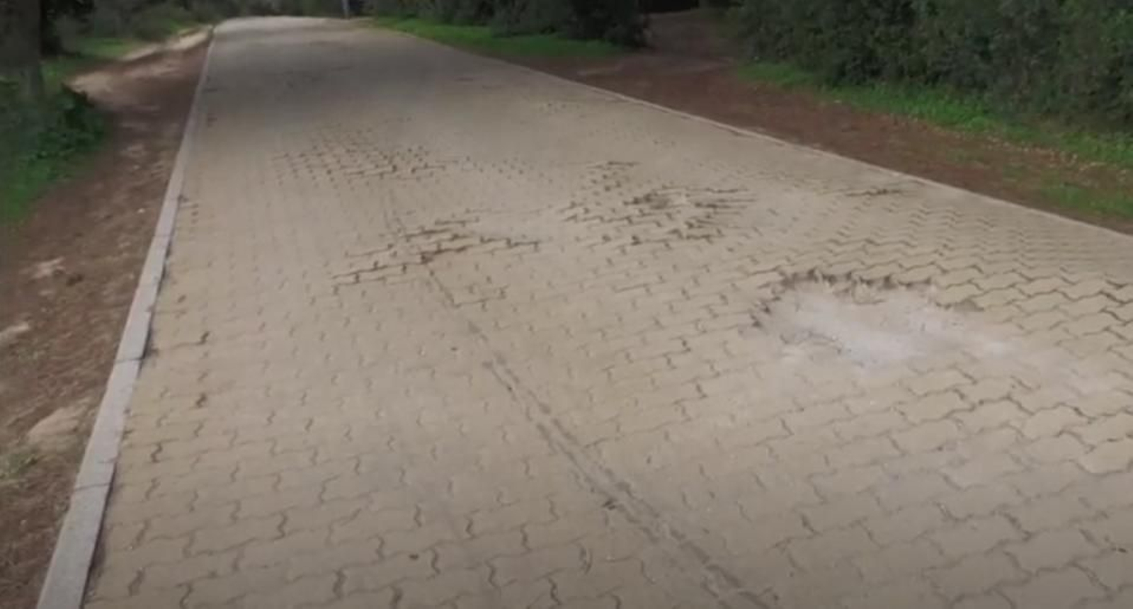 Baches, el carril del Pinar del Rey.