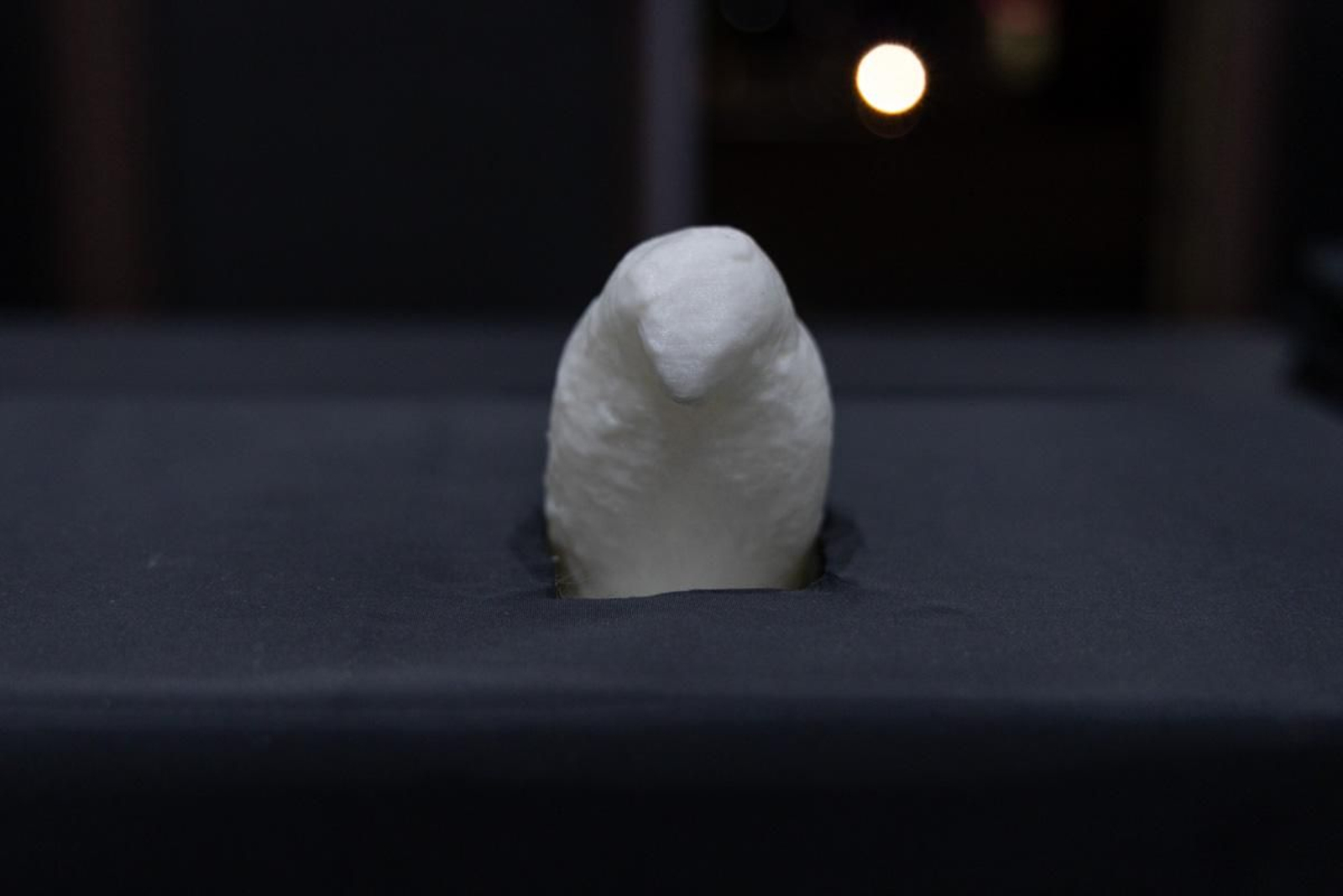 El trabajo arqueológico de la UJA en Egipto se muestra al público en esta exposición interactiva FOTOGALERIA