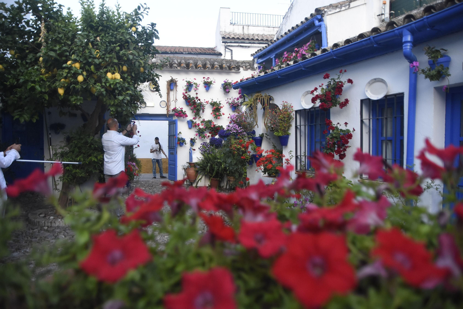 Uno de los patios de la pasada edición del festival.