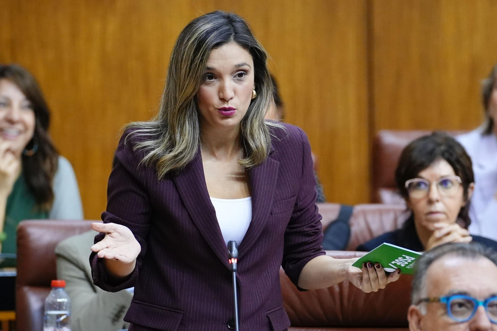María Márquez, en el Parlamento.