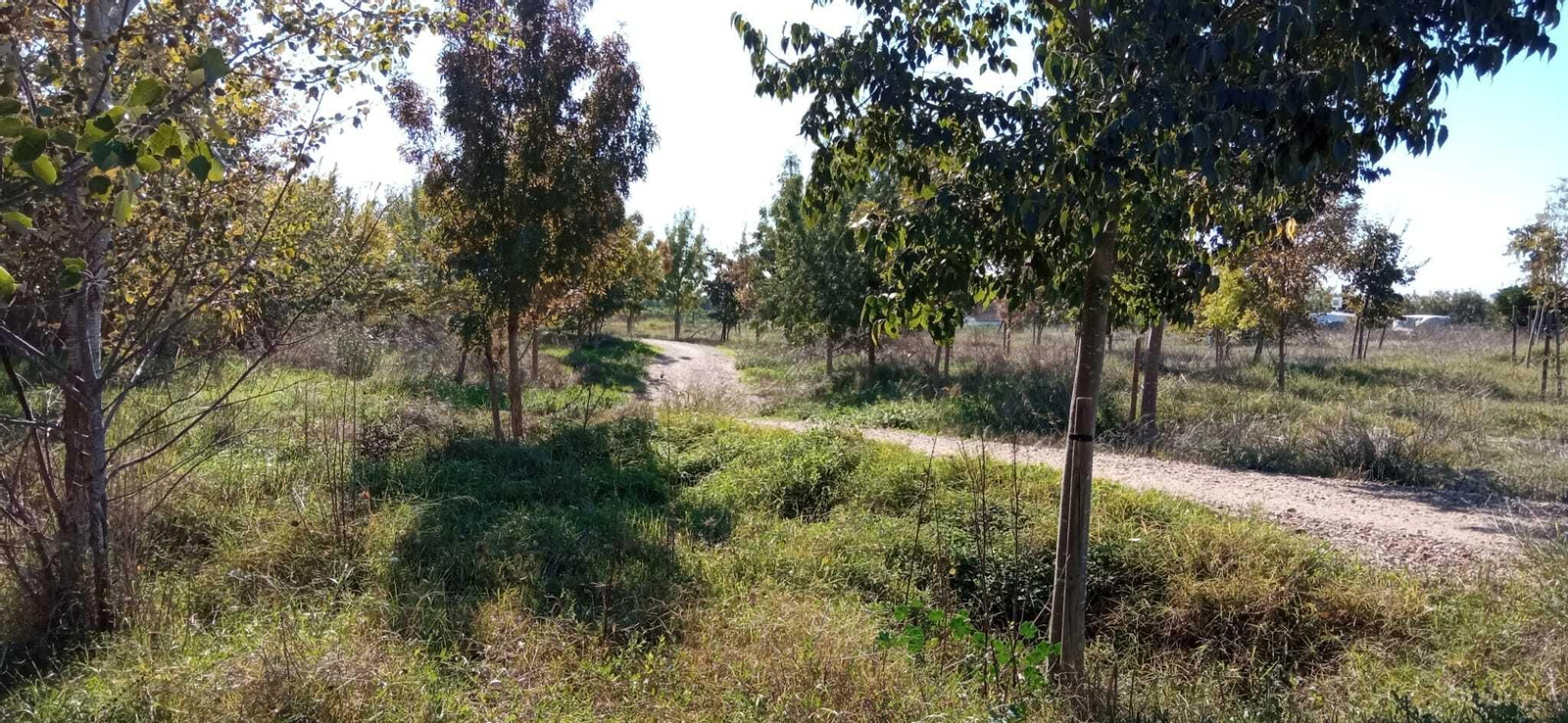 Las imágenes del Tramo I de la Ruta del Río Pudio