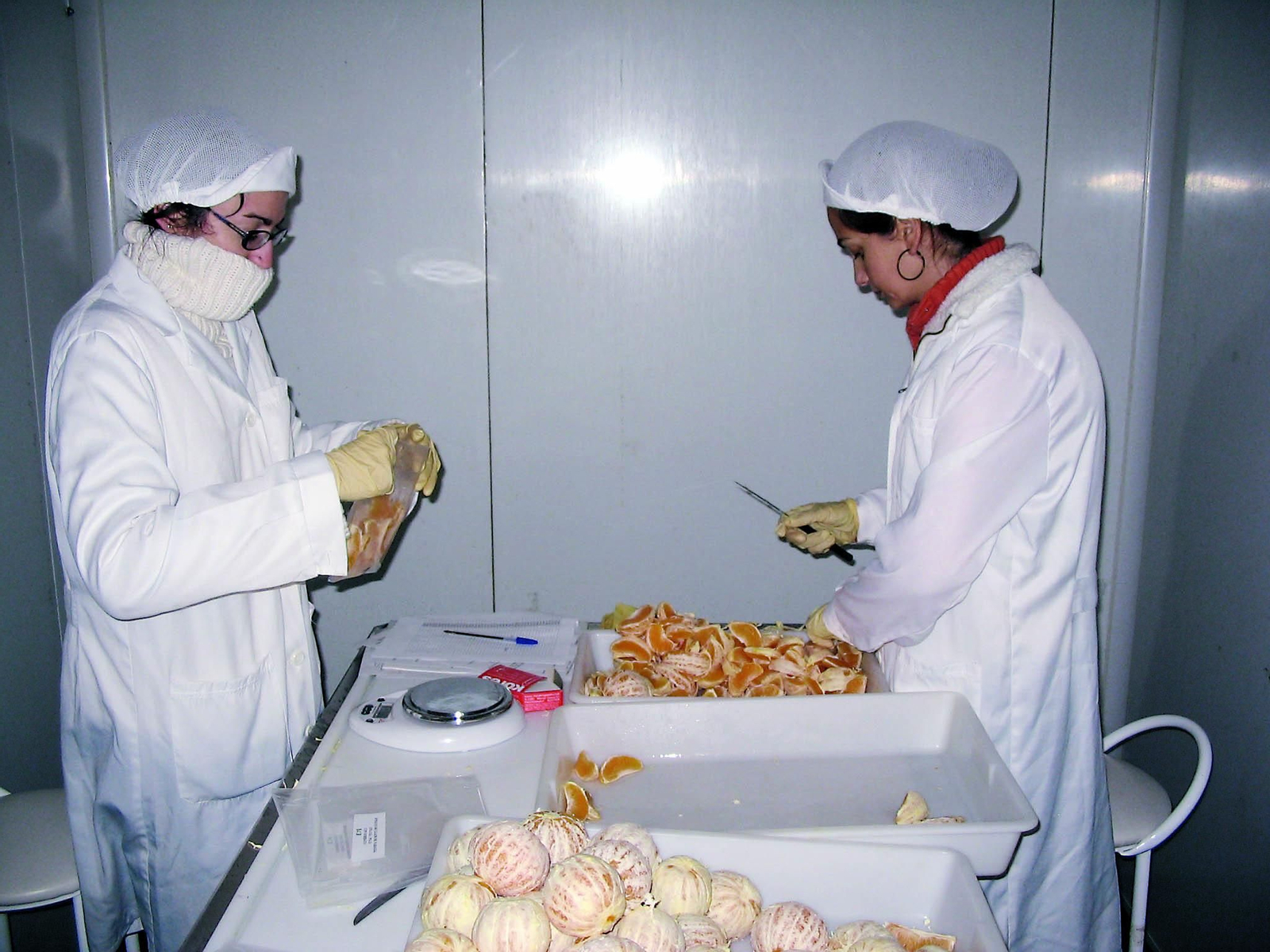 La formación ya se ha impartido en Los Vélez, Alto Almanzora y Las Alpujarras-Sierra Nevada.