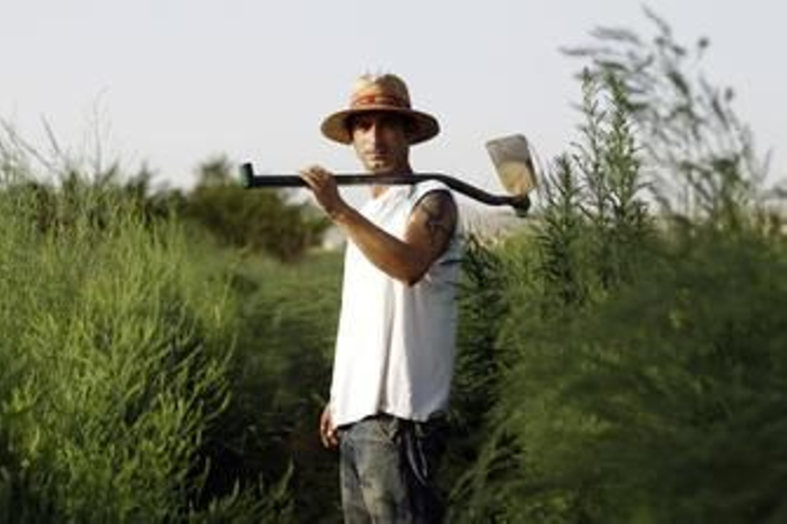 Crece la división en términos de empleo entre el norte y el sur de España