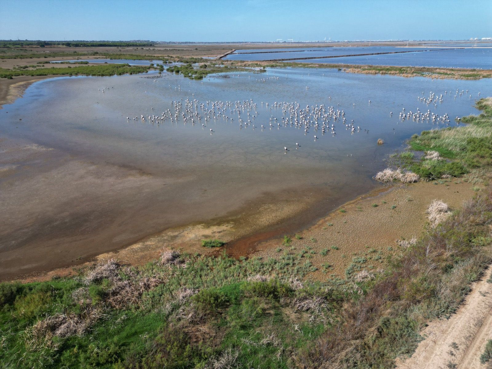 El Humedal de Cetina, en Puerto Real,