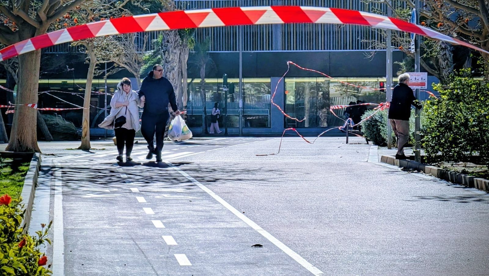 Varios árboles cayeron el pasado jueves en Almería por el viento.